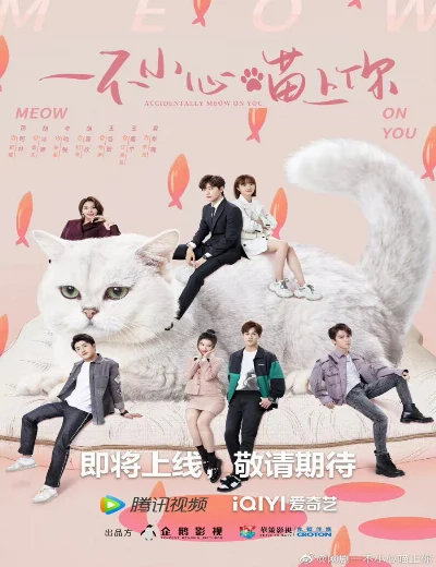 Bất Cẩn Meow Phải AnhHình bìa