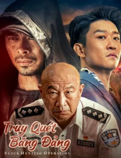 Truy Quét Băng ĐảngHình bìa