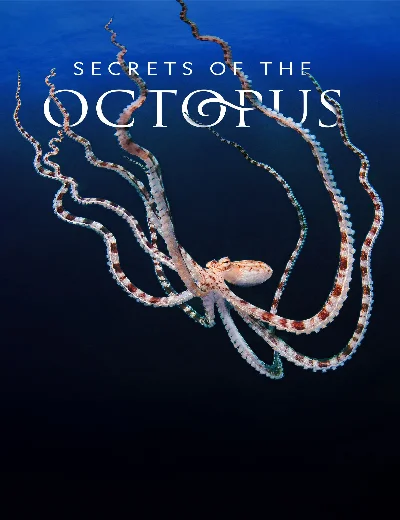 Secrets of the OctopusHình bìa