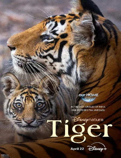 TigerHình bìa