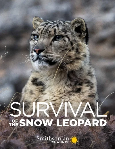 Survival Of The Snow LeopardHình bìa