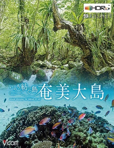 Đảo Amami OshimaHình bìa