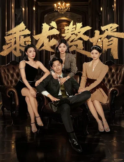 Chàng Rể Tài BaHình bìa