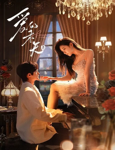 Biến Số Tình YêuHình bìa