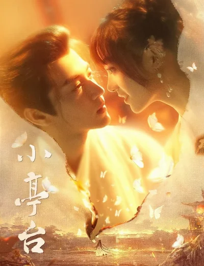 Tiểu Đình ĐàiHình bìa