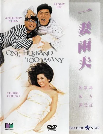 One Husband Too ManyHình bìa