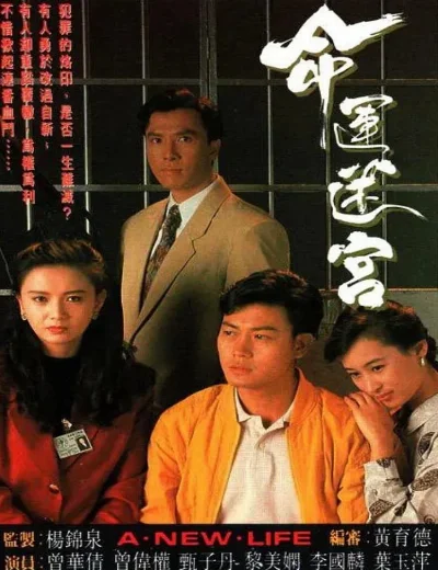 Vận Mệnh Mê CungHình bìa