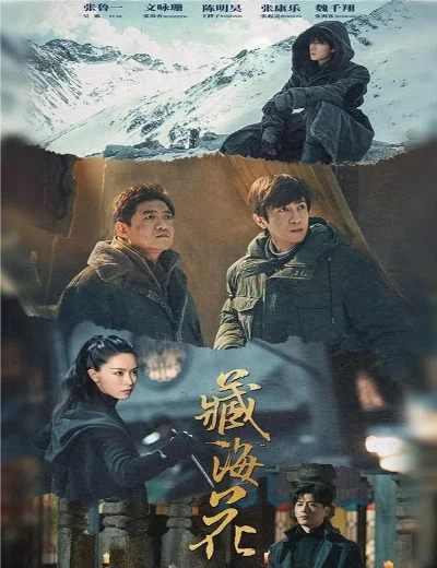 Tạng Hải HoaHình bìa