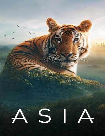 AsiaHình bìa