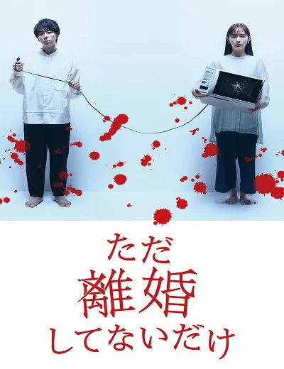Chỉ Là Không Ly HônHình bìa