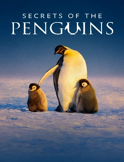 Secrets of the PenguinsHình bìa