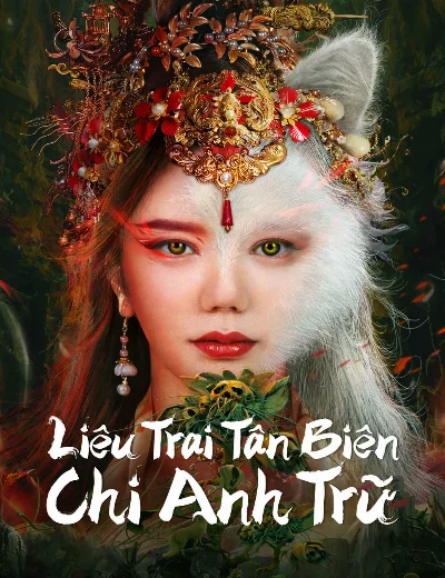 Liêu Trai Tân Biên Chi Anh TrữHình bìa
