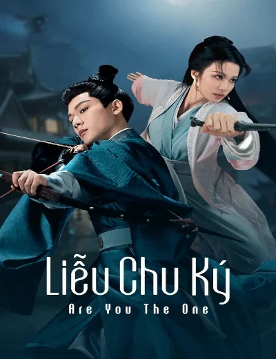 Liễu Chu KýHình bìa