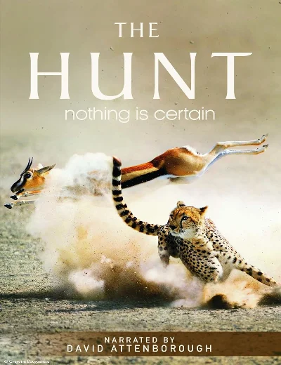 The HuntHình bìa