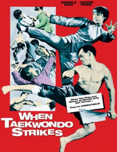 Taekwondo  Chấn Cửu ChâuHình bìa