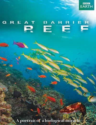 Great Barrier ReefHình bìa