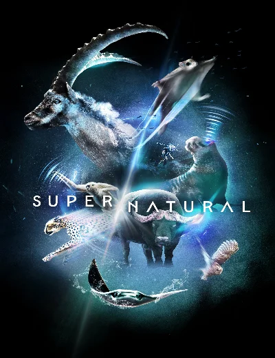 Super/NaturalHình bìa