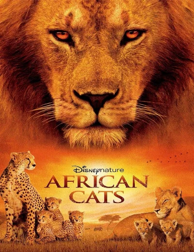 African CatsHình bìa
