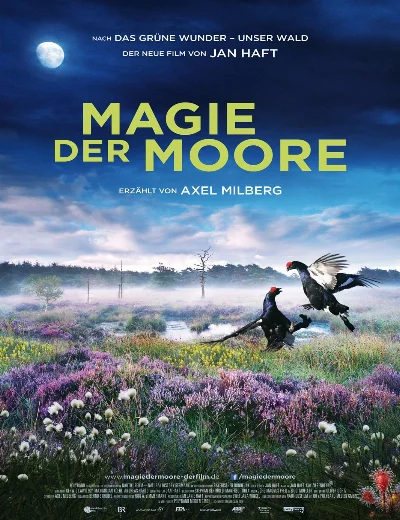 Magie der MooreHình bìa