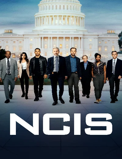 NCIS (Phần 14)Hình bìa