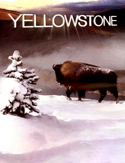 YellowstoneHình bìa
