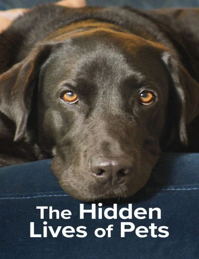 The Secret Life of Our PetsHình bìa