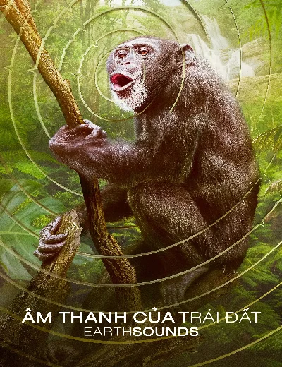 Âm Thanh Của Trái Đất - EarthsoundsHình bìa