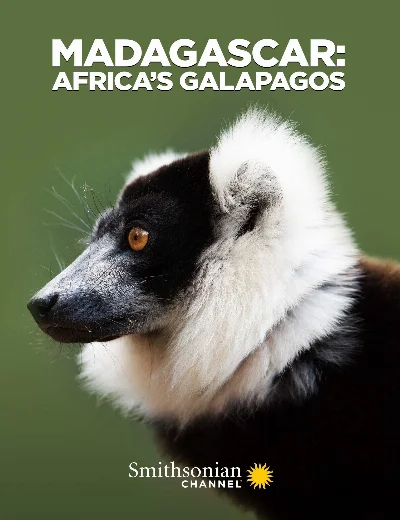 Madagascar: Africa's GalapagosHình bìa