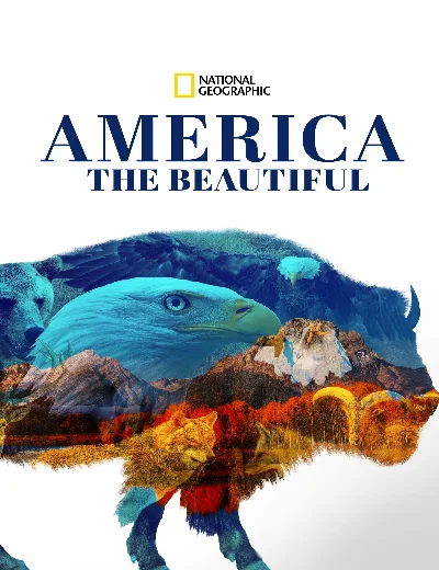 America the BeautifulHình bìa
