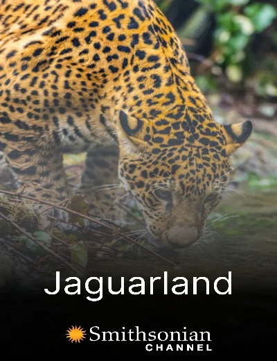 JaguarlandHình bìa