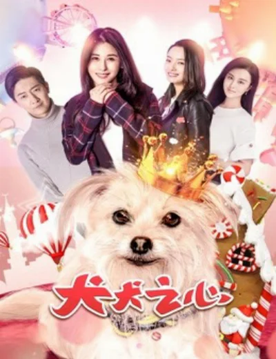 Số phận của Ne ZhaHình bìa