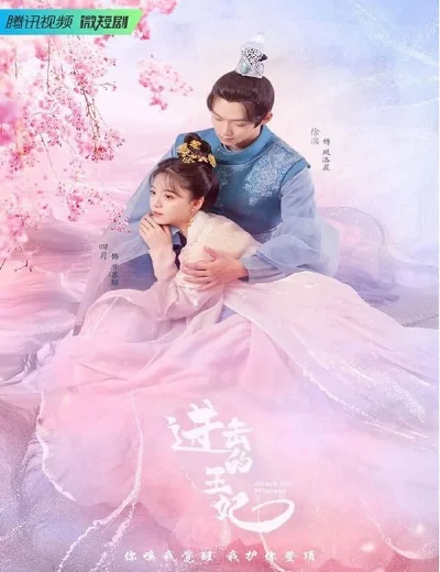 Vương Phi Tiến CôngHình bìa