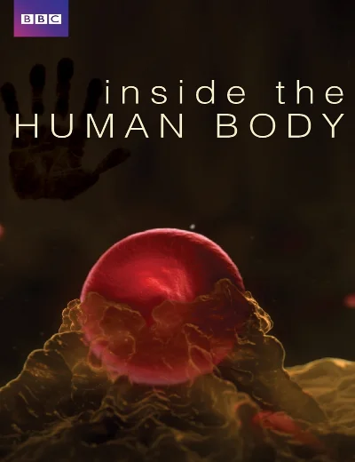 Inside the Human BodyHình bìa