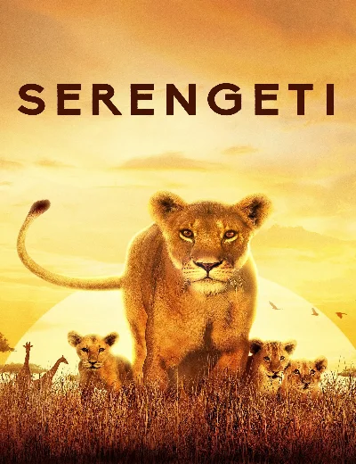 SerengetiHình bìa