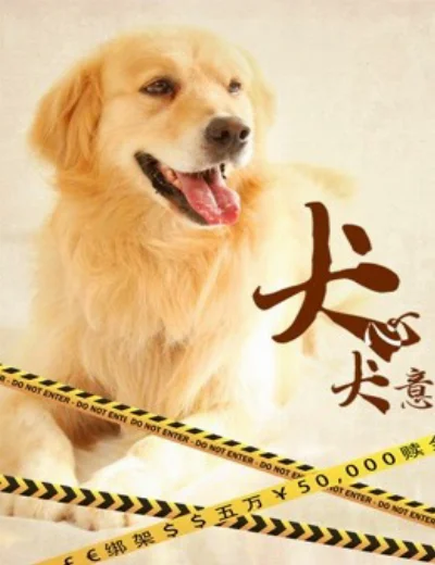 Quyết tâm của chóHình bìa