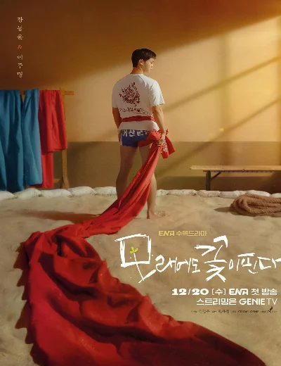 Hoa Nở Trên CátHình bìa