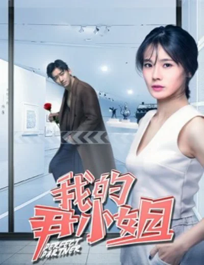 Cộng sự hoàn hảoHình bìa