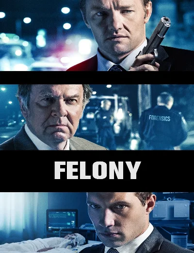 FelonyHình bìa