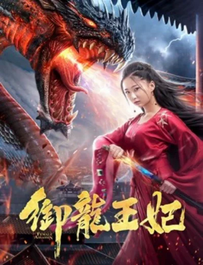 Ngự Long Vương PhiHình bìa