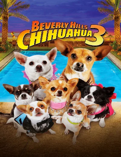 Những Chú Chó Chihuahua 3Hình bìa