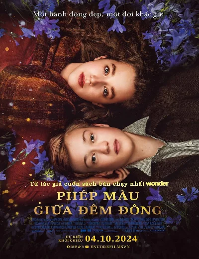 Phép Màu Giữa Đêm ĐôngHình bìa