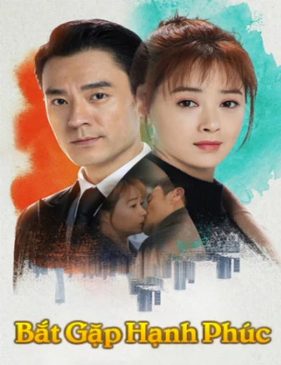 Bắt Gặp Hạnh PhúcHình bìa