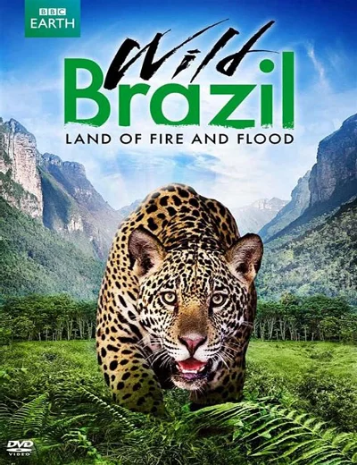 Thiên Nhiên Brazil Hoang DãHình bìa