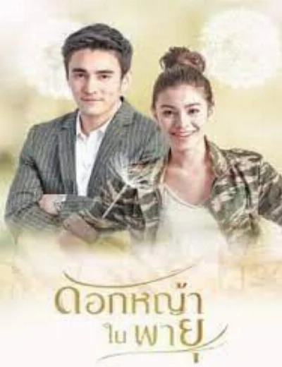 Hoa Cỏ Lau Trong BãoHình bìa