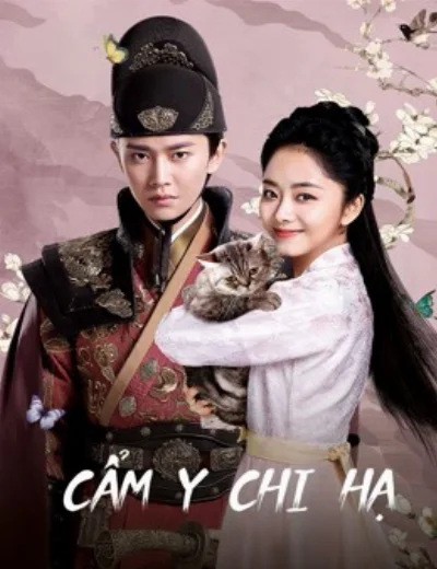 Cẩm Y Chi HạHình bìa