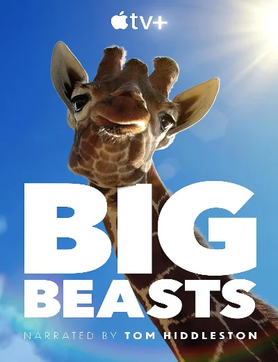 Big BeastsHình bìa