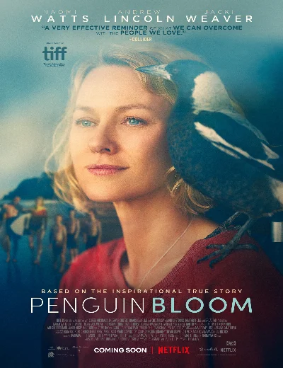 Cánh Cụt nhà BloomHình bìa