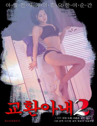 Đổi Vợ 2Hình bìa