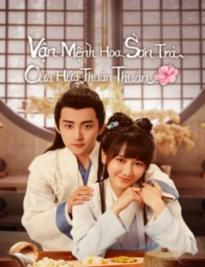 Vận Mệnh Hoa Sơn Trà Của Hứa Thuần ThuầnHình bìa