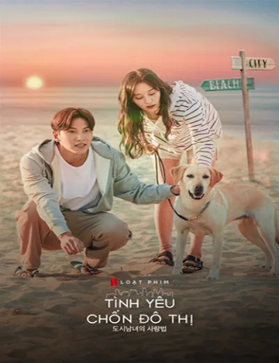 Tình Yêu Chốn Đô ThịHình bìa